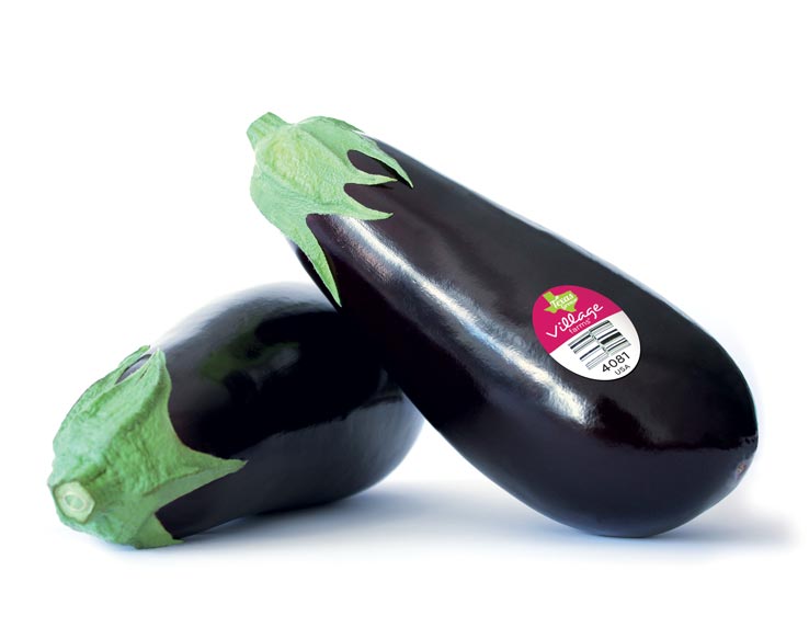 Greenhouse grown Eggplant