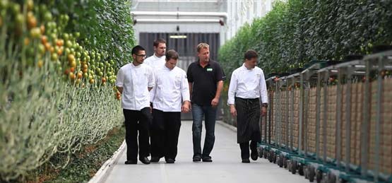 Village-Farms-Chef-Dirk-AG