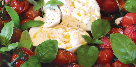 Roasted Cherry and Cabernet Tomatoes with Burrata