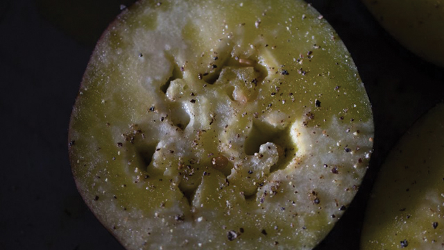 Eggplant Slice