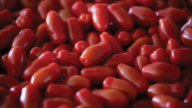 San Marzano Tomatoes